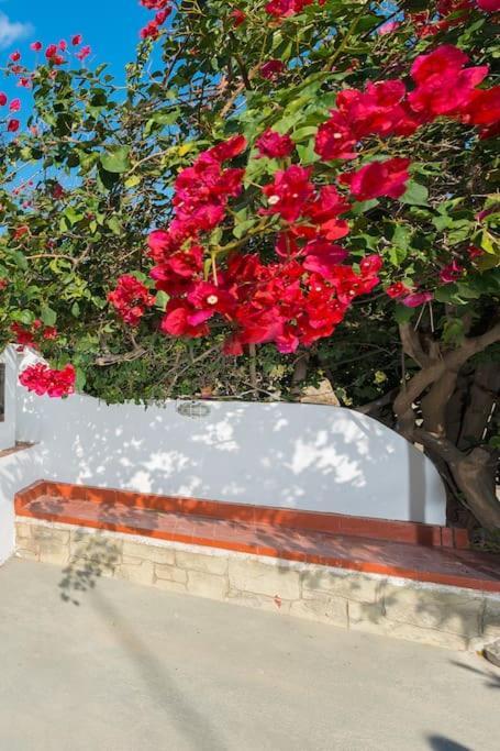 Leilighet Greek Style Ground Floor & Pool Ialysós
