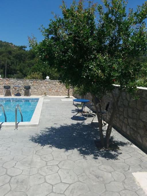 Greek Style Ground Floor & Pool Leilighet