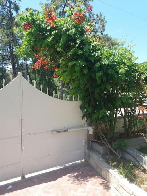 Greek Style Ground Floor & Pool Leilighet *